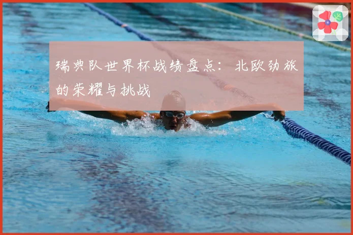 瑞典队世界杯战绩盘点:北欧劲旅的荣耀与挑战