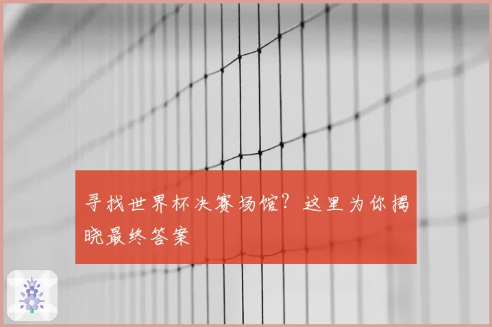 寻找世界杯决赛场馆？这里为你揭晓最终答案