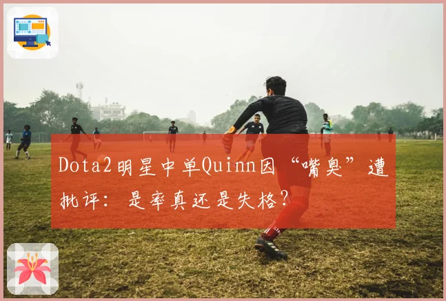 Dota2明星中单Quinn因“嘴臭”遭批评:是率真还是失格?